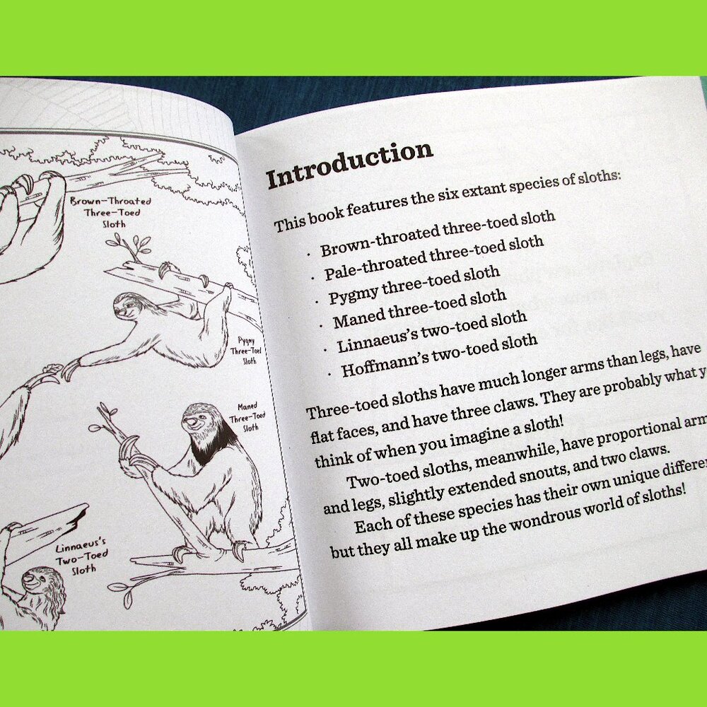 Book: Life Lessons from a Sloth, by Heneghan, Mills, & Sturgeon - Picture 2 of 13